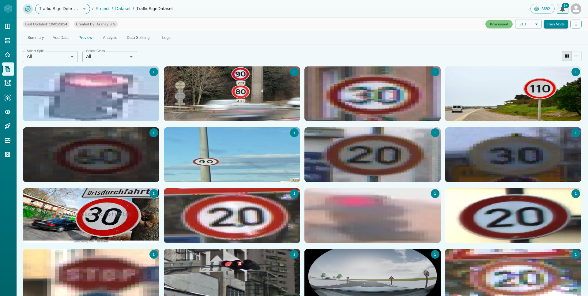 Dataset Preview